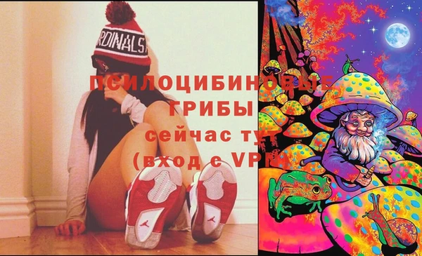 ALPHA-PVP Новодвинск