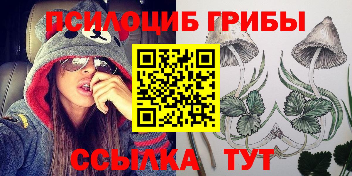 Псилоцибиновые грибы Psilocybine cubensis Белогорск